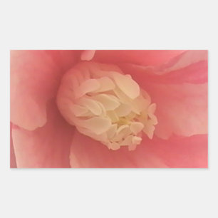 Pink Camellia Rechteckiger Aufkleber