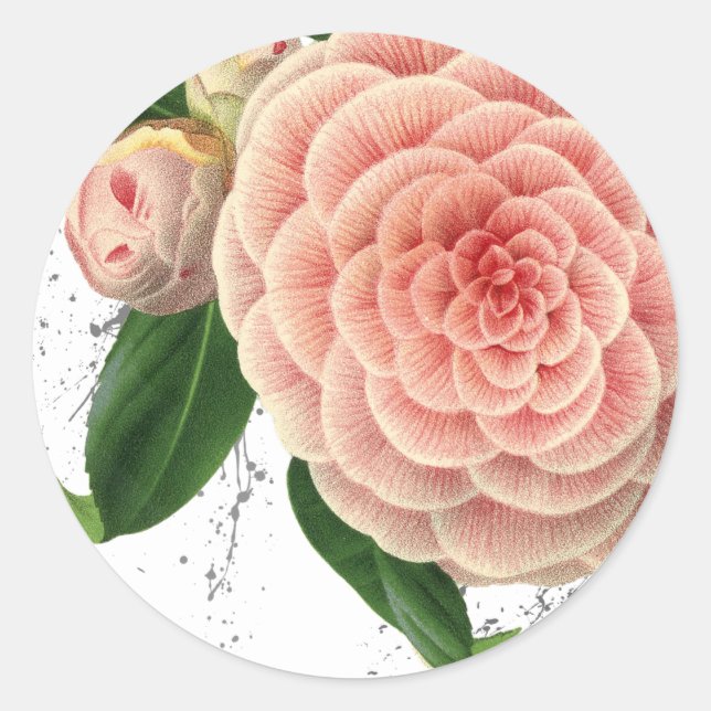 Pink Camellia Umschlag Aufkleber Stickers (Vorderseite)