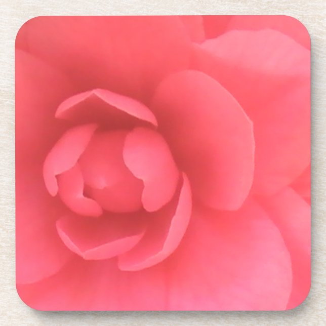 Pink Camellia Untersetzer (Vorderseite)