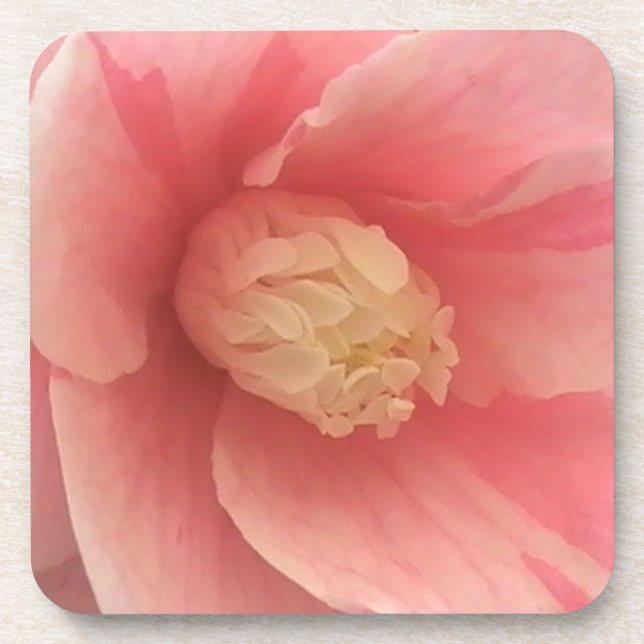 Pink Camellia Untersetzer (Vorderseite)