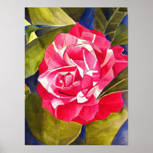 Pink Camellia watercolor flower art painting Poster