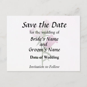 Pink Canterbury Bells Ankündigungspostkarte