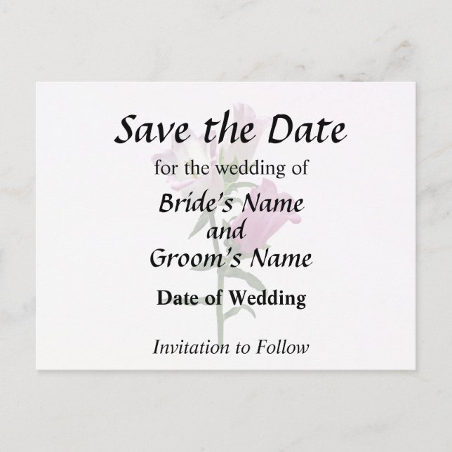 Pink Canterbury Bells Ankündigungspostkarte (Vorderseite)