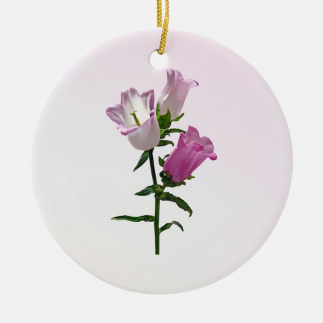 Pink Canterbury Bells Keramik Ornament (Vorne)