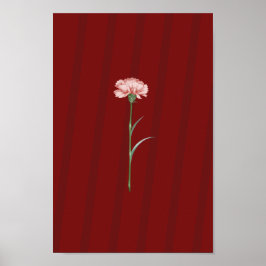 Pink Carnation on Red - Romantisches ästhetisches  Poster