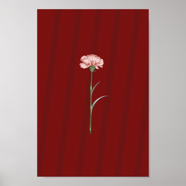Pink Carnation on Red - Romantisches ästhetisches  Poster (Vorne)