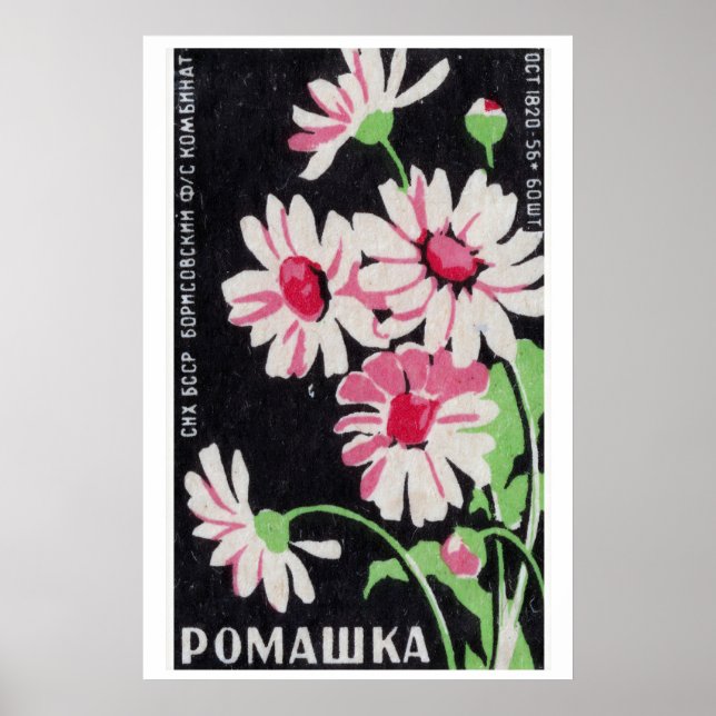Pink Chamomile Flowers Matchbox Art Print, Russian Poster (Vorne)