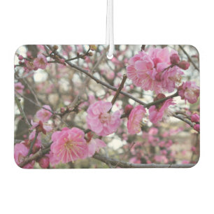Pink Cherry Blosm / Sakura / ラ(桜) Autolufterfrischer