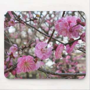 Pink Cherry Blosm / Sakura / ラ(桜) Mousepad