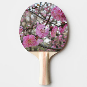 Pink Cherry Blosm / Sakura / ラ(桜) Tischtennis Schläger