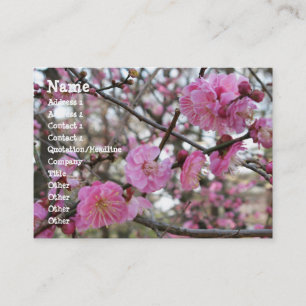 Pink Cherry Blosm / Sakura / ラ(桜) Visitenkarte
