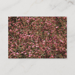 Pink Cherry Blossom 02 Visitenkarte