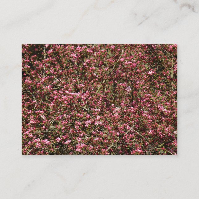 Pink Cherry Blossom 02 Visitenkarte (Vorderseite)