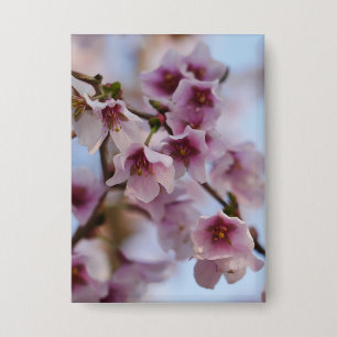 Pink Cherry Blossom Abzeichen Button