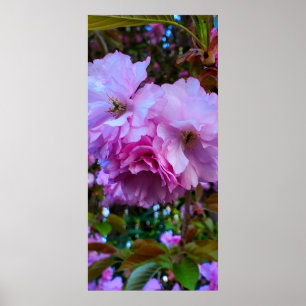 Pink Cherry Blossom Blume Poster