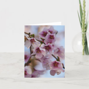 Pink Cherry Blossom Card Feiertagskarte