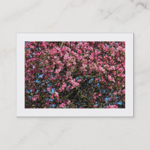 Pink Cherry Blossom (grenzbar) Visitenkarte