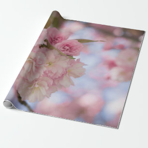 PINK CHERRY BLOSSOM IN NAH-OBEN-FOTOGRAFIE GESCHENKPAPIER