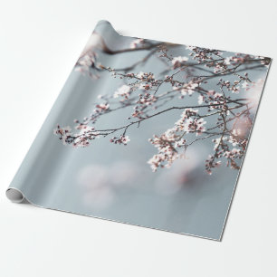 PINK CHERRY BLOSSOM IN NAH-OBEN-FOTOGRAFIE GESCHENKPAPIER