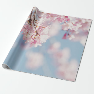 PINK CHERRY BLOSSOM IN NAH-OBEN-FOTOGRAFIE GESCHENKPAPIER