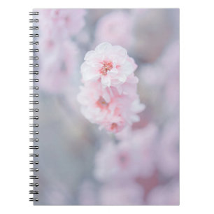PINK CHERRY BLOSSOM IN NAH-OBEN-FOTOGRAFIE NOTIZBLOCK