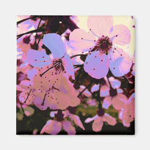 Pink Cherry Blossom Magnet