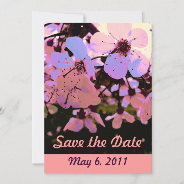 Pink Cherry Blossom Save the Date (Vorderseite)