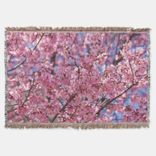 Pink Cherry Blossom Sky Decke
