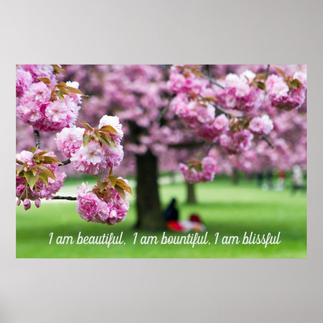 Pink Cherry Blütenposter Poster (Vorne)