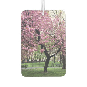 Pink Cherry Tree Blossom Springtime New York City Autolufterfrischer