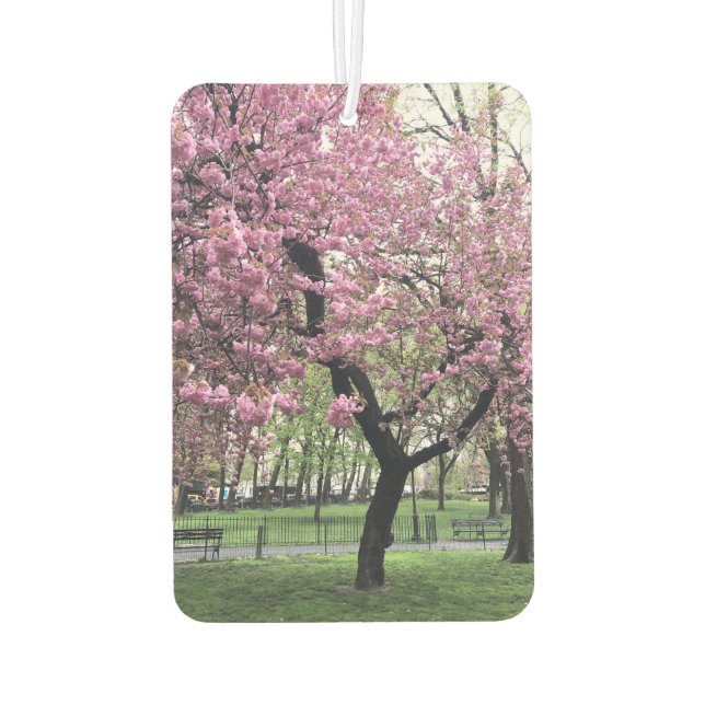 Pink Cherry Tree Blossom Springtime New York City Autolufterfrischer (Rückseite)