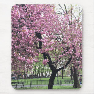 Pink Cherry Tree Blüten Springtime New York City Mousepad