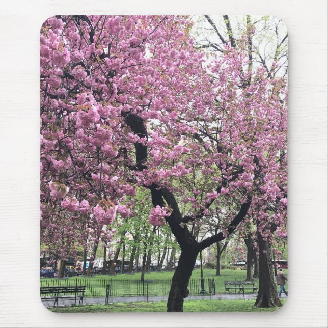 Pink Cherry Tree Blüten Springtime New York City Mousepad (Vorne)