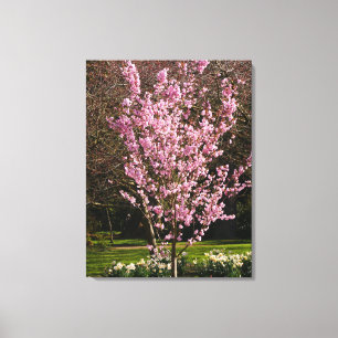 Pink Cherry Tree Canvas Print Leinwanddruck