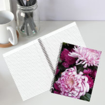 Pink Chrysanthemum Blooms Floral