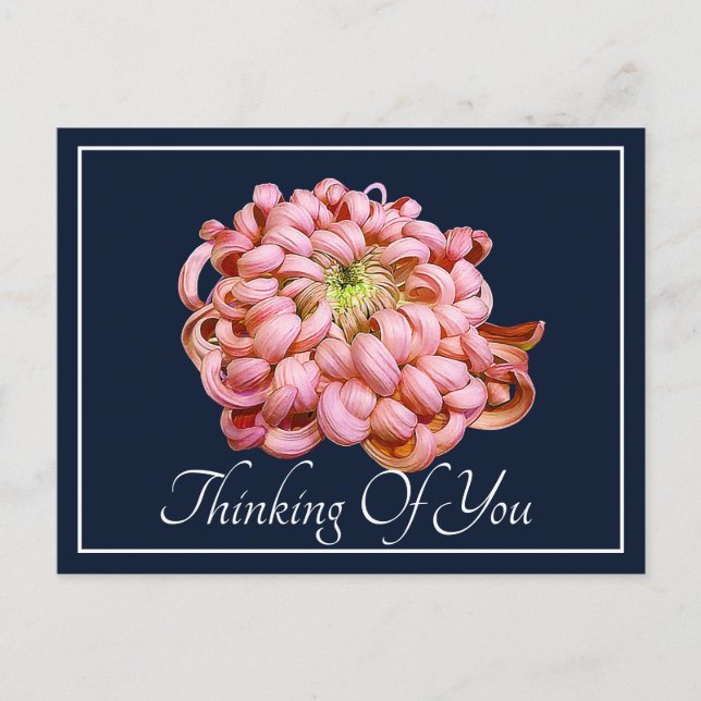 Pink Chrysanthemum Navy Hintergrund Denken Sie an  Postkarte (Vorderseite)