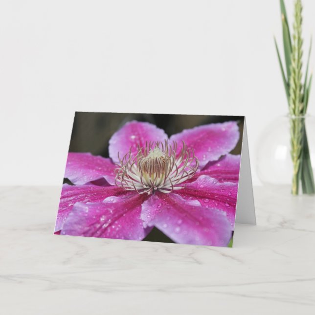 Pink Clematis Blume Notecard Karte (Vorderseite)