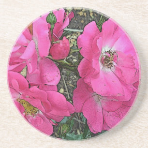 Pink Climbing Rose Untersetzer