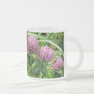 Pink Clover Wildblume - Trifolium pratense Mattglastasse