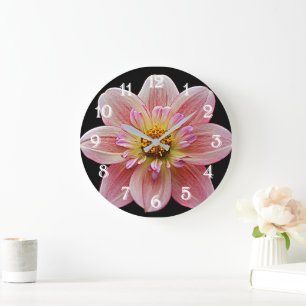 Pink Collarette Dahlia auf der schwarzen Flora Große Wanduhr