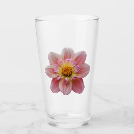 Pink Collarette Dahlia Bloom Floral Glas