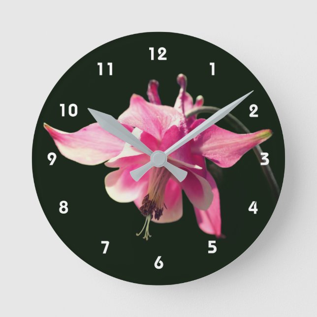 Pink Columbine Flower Runde Wanduhr (Vorderseite)