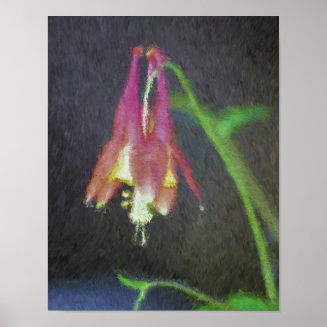 Pink Columbine Impressionist Blume Art Poster (Vorne)