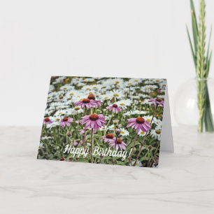 Pink Coneflowers und Daisis Happy Birthday Card Karte