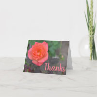 Pink Coral Rose Blumenfotografie Danke
