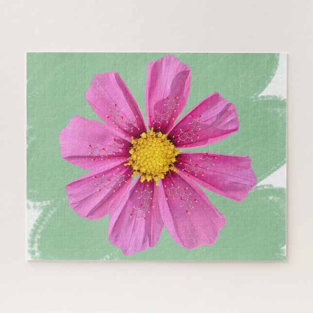 Pink Cosmos Blume Chemistry Puzzle (Horizontal)