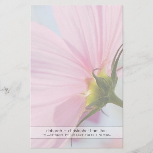 Pink Cosmos ・ Geschirr Briefpapier (Vorderseite)