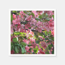 Pink Crabappaple Foto