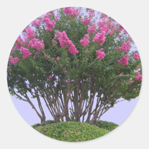 Pink Crape Myrtle Mound Stickers
