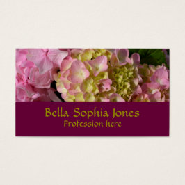 Pink Cream Hydrangeas gelb rosa grüne Blüte